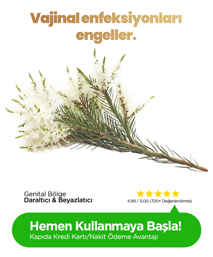 Başlık